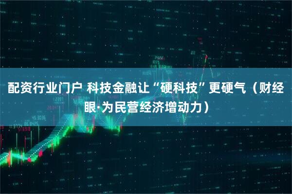 配资行业门户 科技金融让“硬科技”更硬气（财经眼·为民营经济增动力）