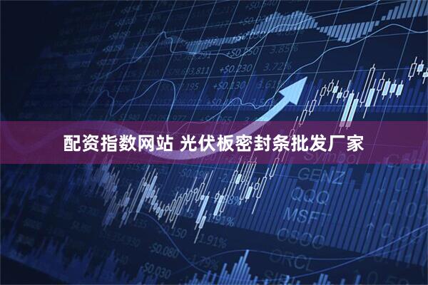 配资指数网站 光伏板密封条批发厂家