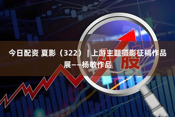 今日配资 夏影（322） | 上游主题摄影征稿作品展——杨敏作品
