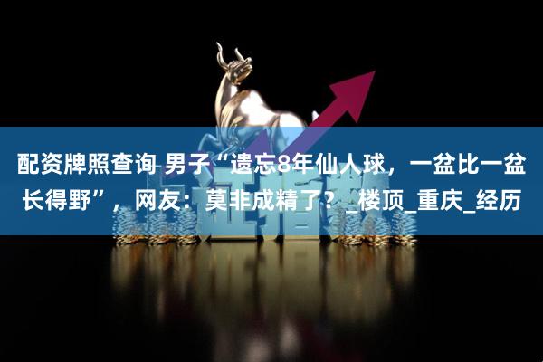 配资牌照查询 男子“遗忘8年仙人球，一盆比一盆长得野”，网友：莫非成精了？_楼顶_重庆_经历