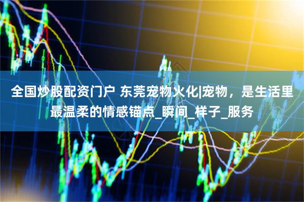 全国炒股配资门户 东莞宠物火化|宠物，是生活里最温柔的情感锚点_瞬间_样子_服务