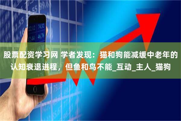 股票配资学习网 学者发现：猫和狗能减缓中老年的认知衰退进程，但鱼和鸟不能_互动_主人_猫狗
