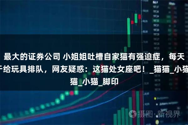 最大的证券公司 小姐姐吐槽自家猫有强迫症，每天执着于给玩具排队，网友疑惑：这猫处女座吧！_猫猫_小猫_脚印